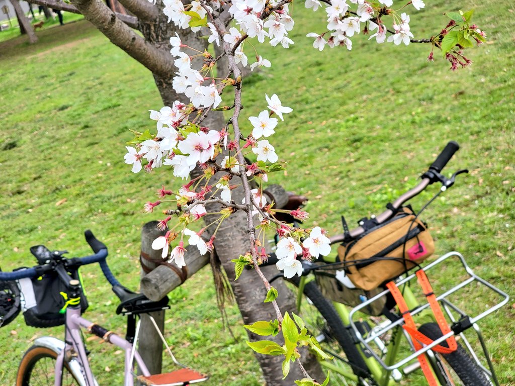 RIDEBONFIRE's tweet photo. ポタリング https://t.co/W3d8TMSj4P