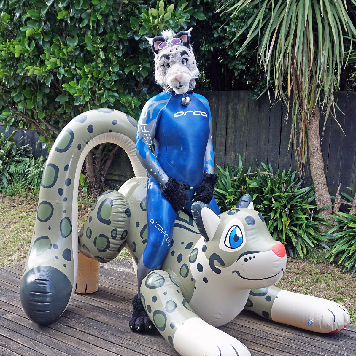 SnowSpottycats's tweet photo. Wanna take the Snow Leopard pool toy down to the pool and have tons of fun?

PS: both of them could very well be used as a pool toy! 😘

Inflatable Snep-toy: @PuffyPawsToys

#NeopreneFur #WetsuitFur #RubberFur #SqueakyFur #Wetsuit #Fursuit
#WetsuitWednesday #WetsuitBoy https://t.co/Bc3b6SfmtN