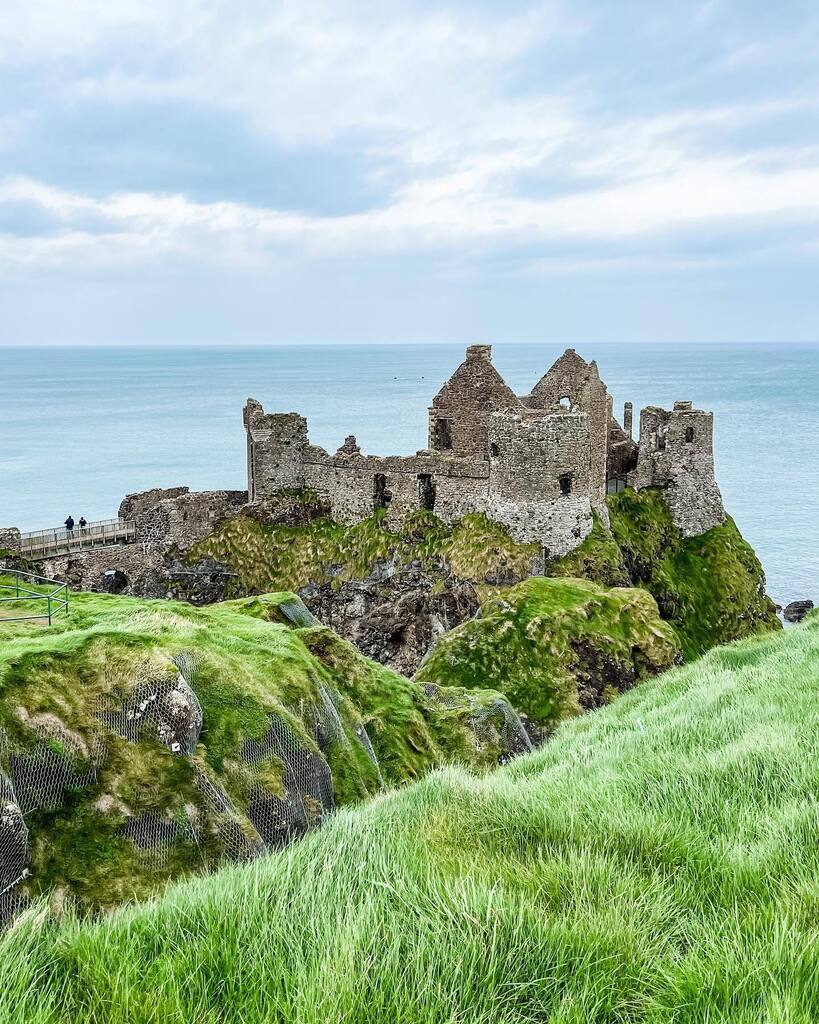 Kim Tate tweet media