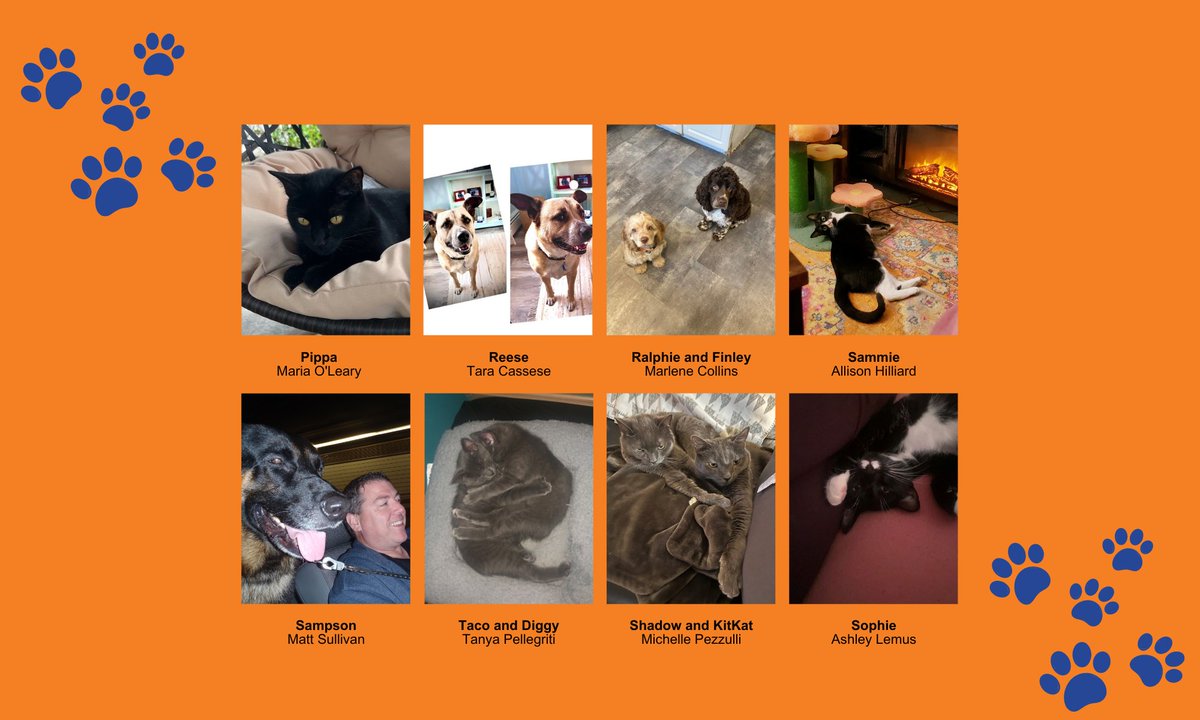 Happy #NationalPetDay! Our furry friends bring us so much joy and companionship. Many Metro employees are pet owners and shared pictures of them with us – look at all those cuties!
#employeeengagement #creditunionsrock #cutepets