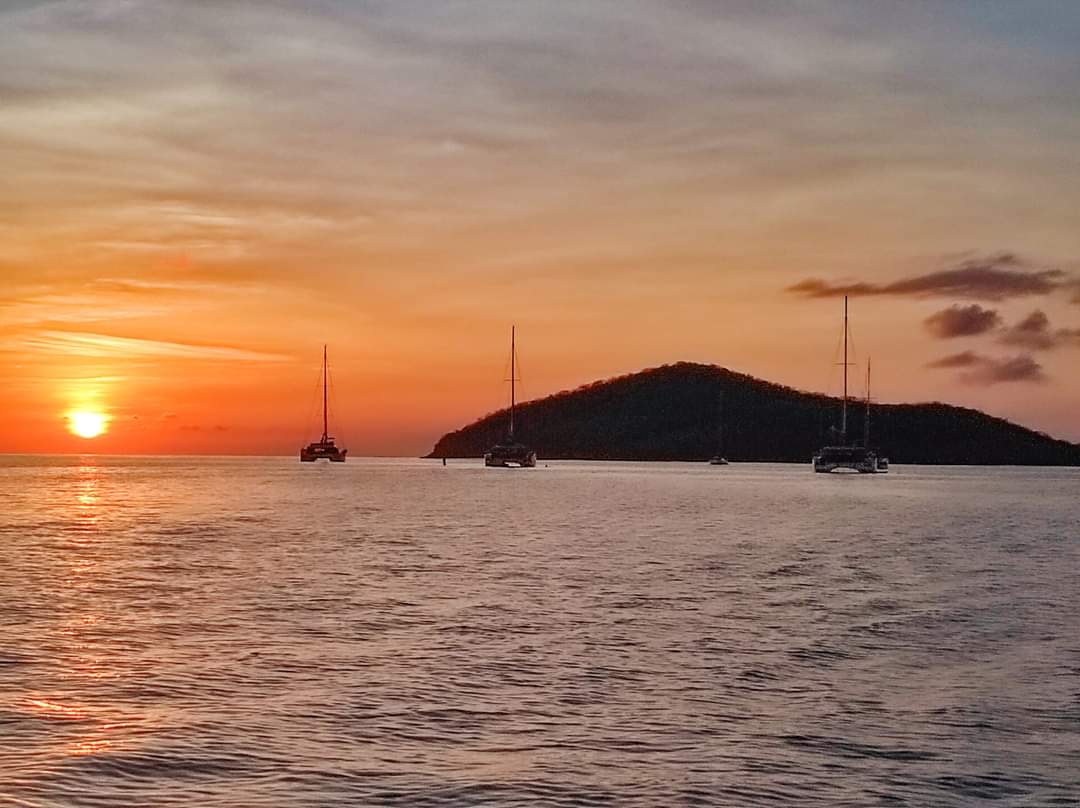 TradeWinds' fleet at Five Island Harbour, enjoying yet another spectacular Antiguan sunset! 

Thanks to Captain Juan, First Mate Serena and Deckhand/Dive Master Richard aboard beautiful Flagship Aletheia!

 #tradewindslife #antigua #antiguandbarbuda #loveantiguabarbuda #caribbean