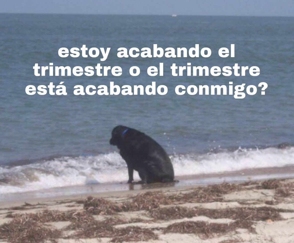 a mimir