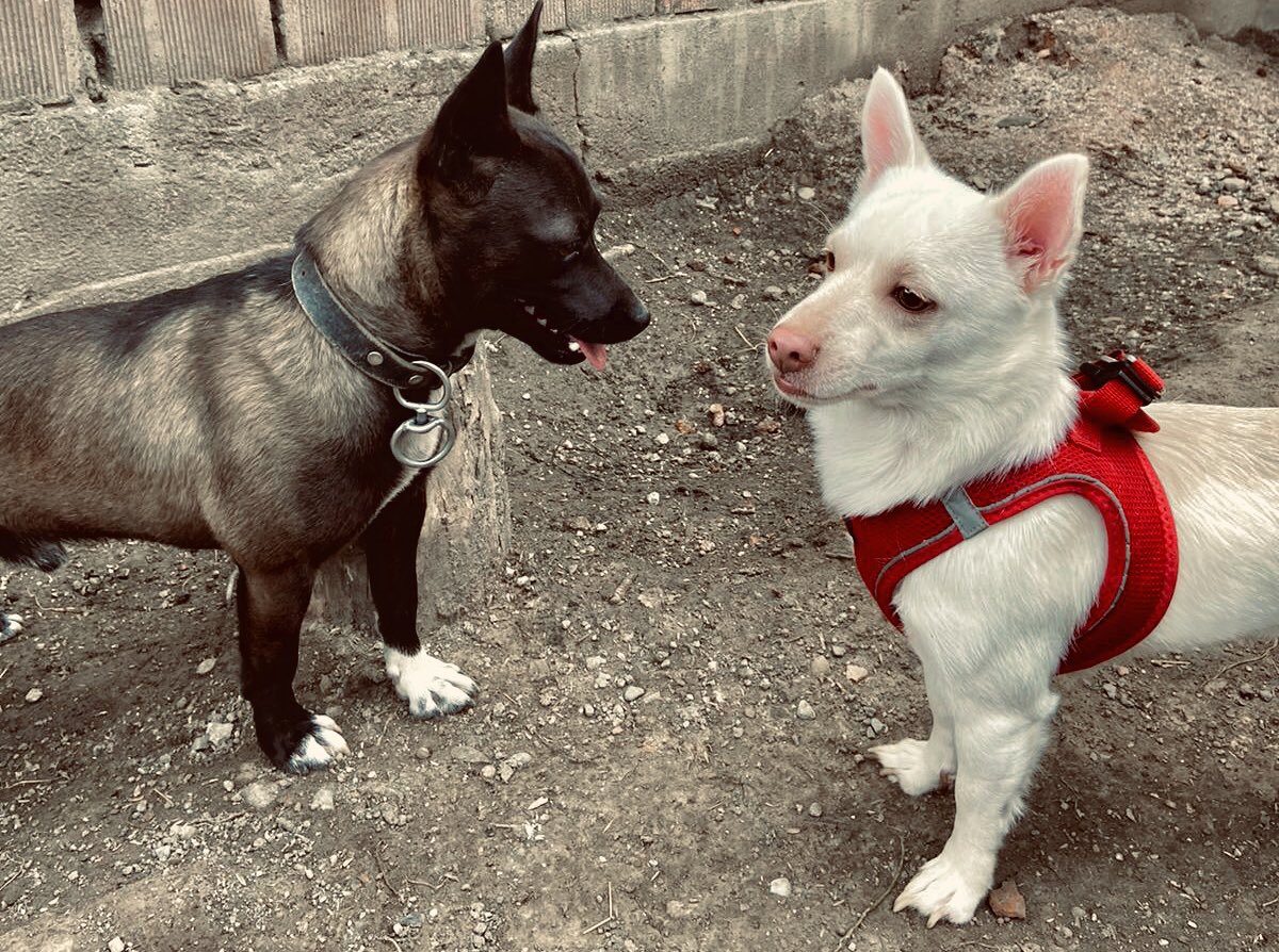 🫶🏻🥳🌸❤️‍🔥🥰🌺