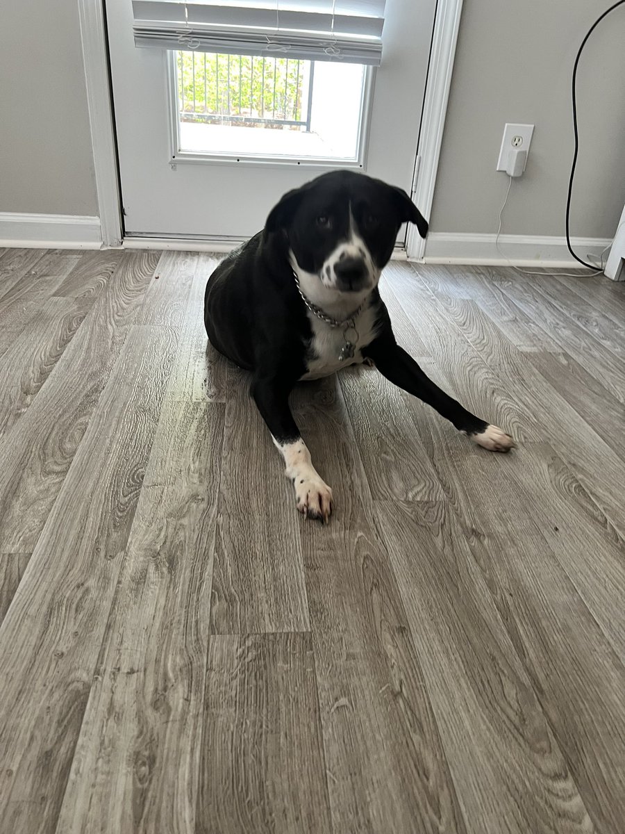 BK_Chase's tweet image. Now I know why DMX went on a robbing spree when he lost Boomer…