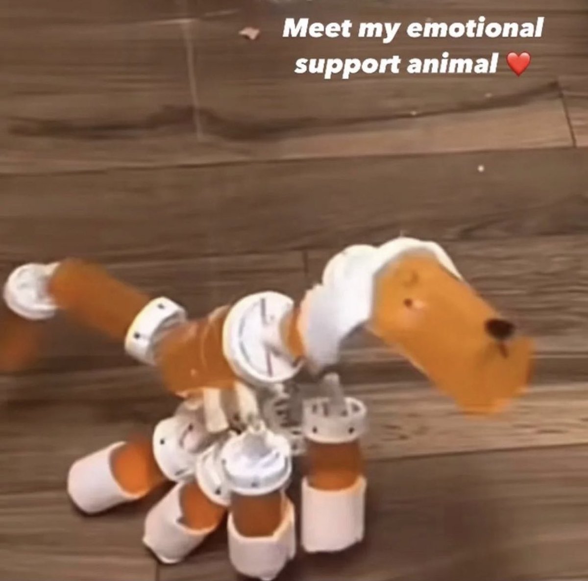 The Notorious J.O.V. (@whotfisjovana) on Twitter photo 