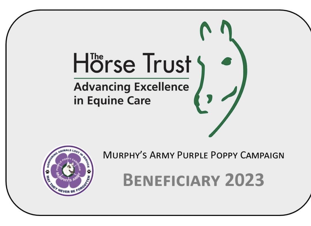 MA_PurplePoppy's tweet photo. Announcing our second beneficiary for this year’s campaign. We hope you will all be happy with this choice. @horsetrust https://t.co/s7Pv6JR5vr