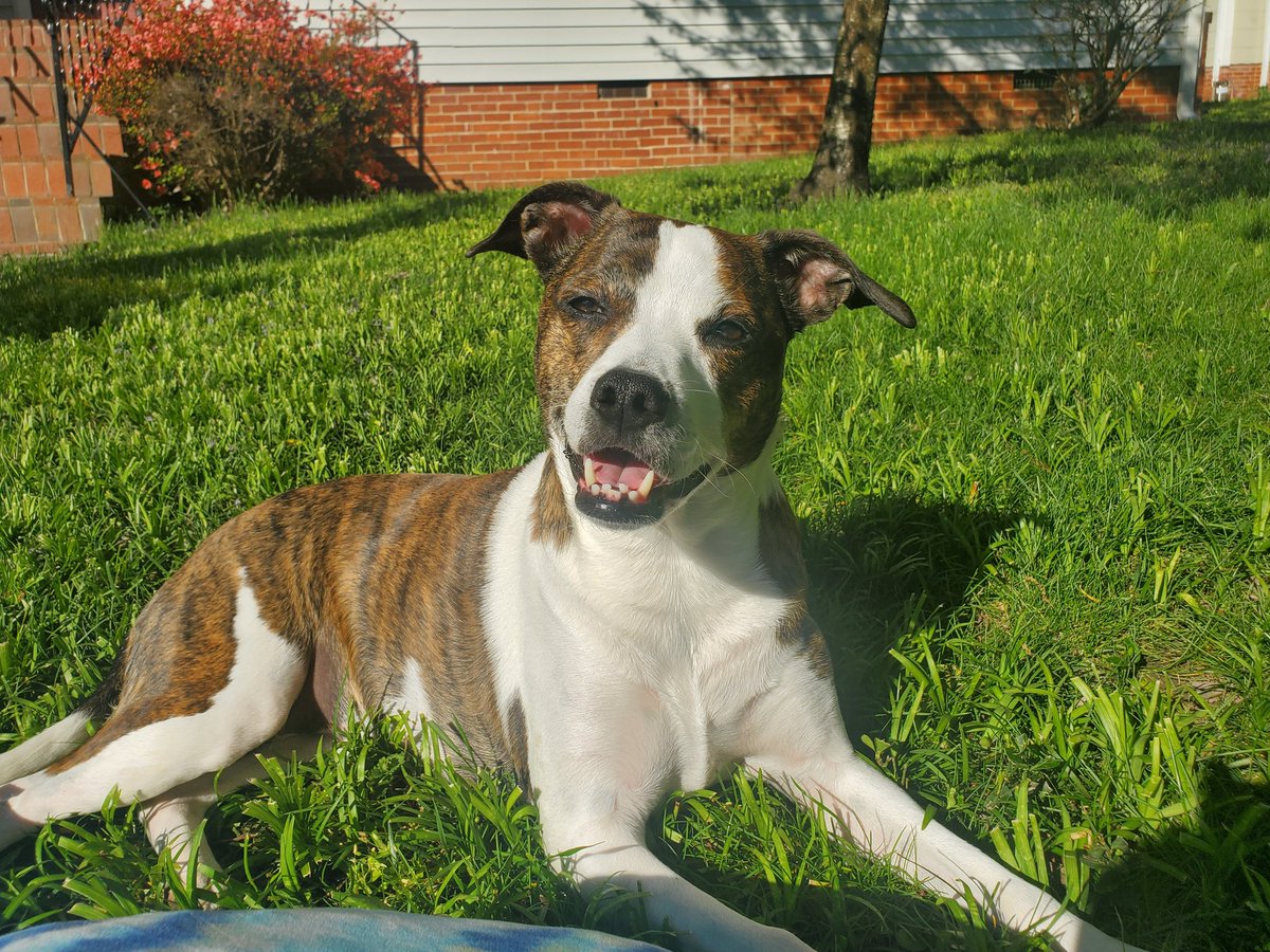 Happy birthday Arya!!! 🎉 I can't believe she is 6 years old today 😩❤️