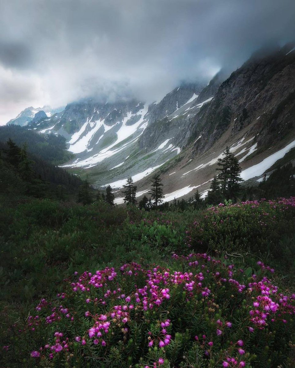 Believe (@chimae_all) on Twitter photo 