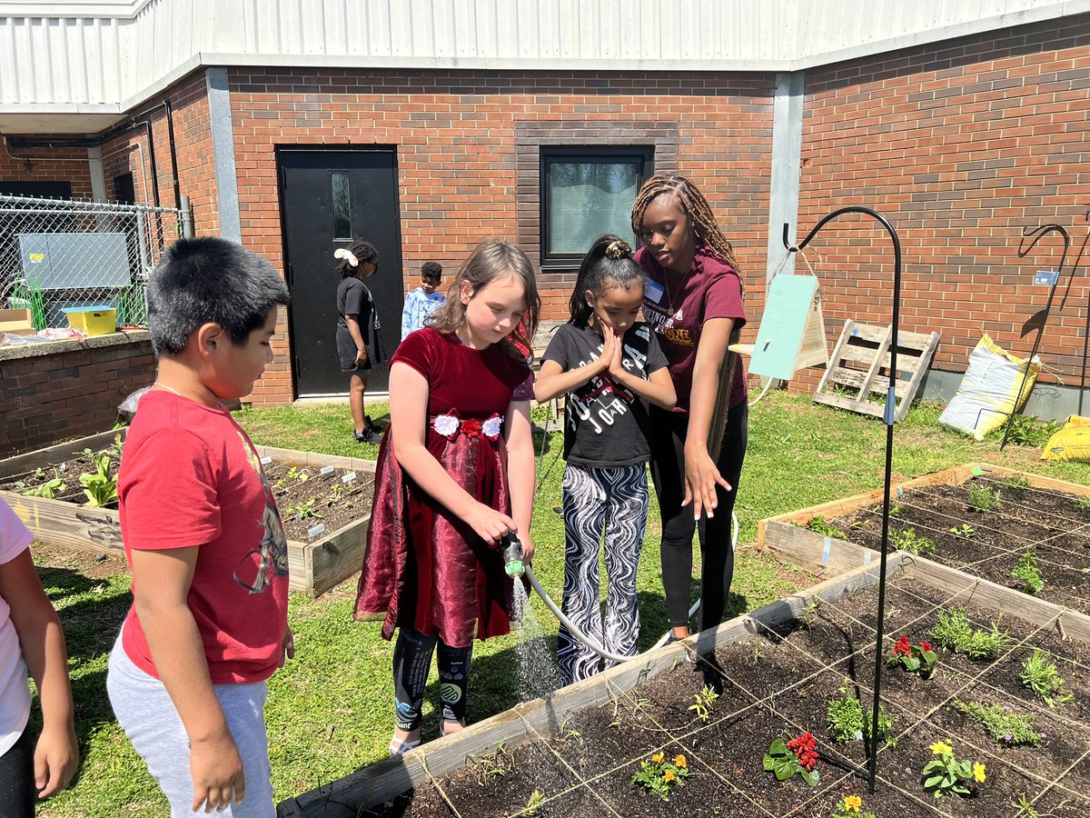 Laura Sicks tweet media