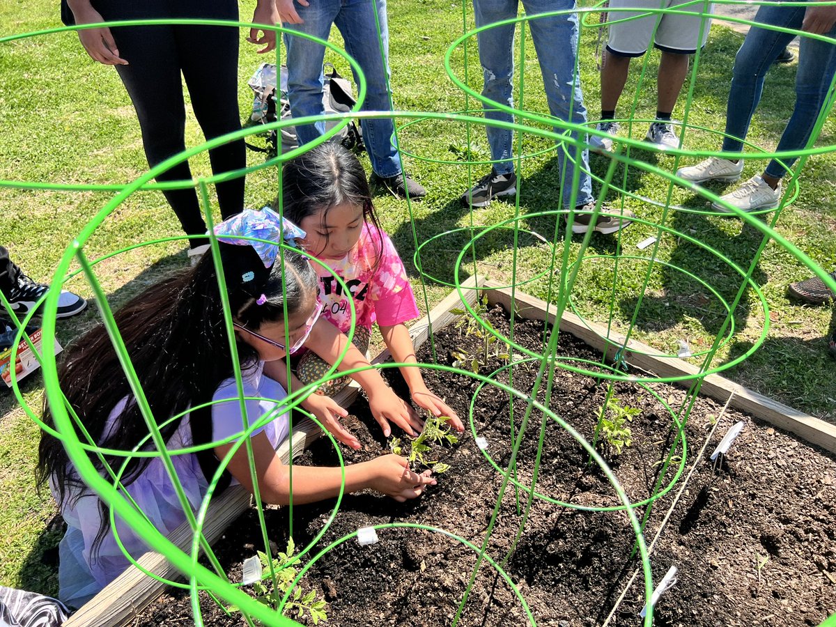 Laura Sicks tweet media