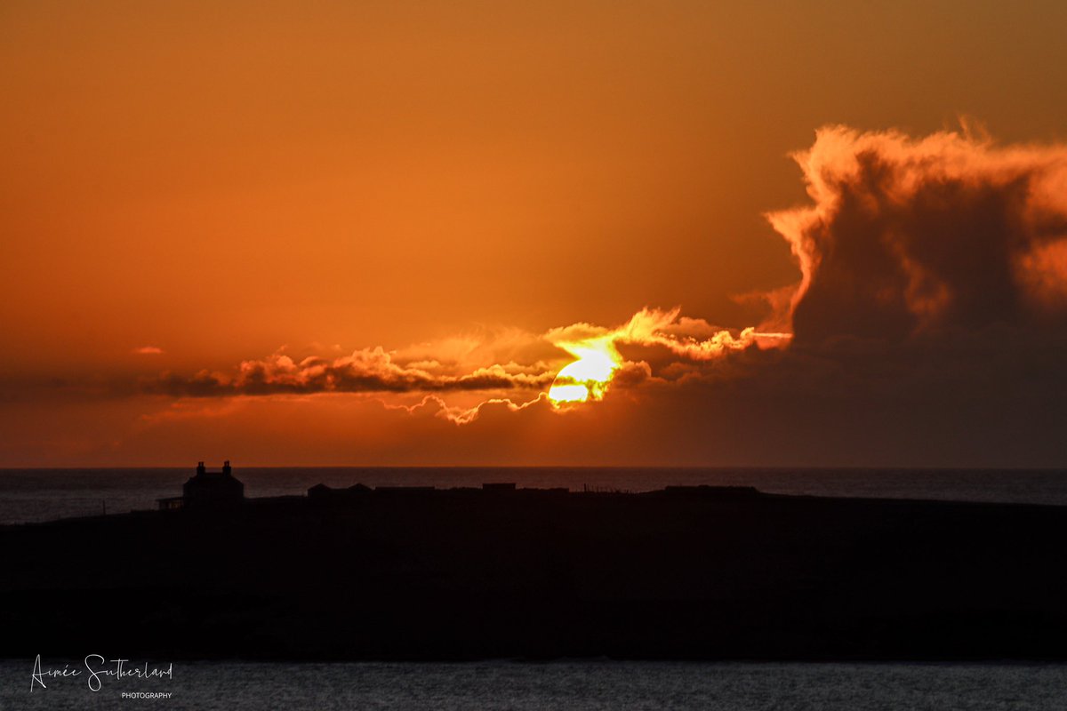 AimeeS74's tweet photo. Puffins and a beautiful sunset = happiness #Shetland #sunset #Puffins https://t.co/BKPHPfv2JN
