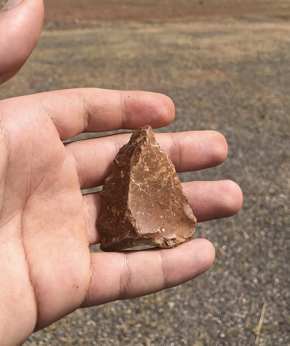 OthmanEchcherif's tweet photo. |April 2023| Archaological survey at Rehamna province (Ben Guerir, Central Morocco). A new research program showing interesting results so far. 
*** A beautiful convergent side-scrapper on a triangular Levallois flake. https://t.co/d3b1B9YPd8