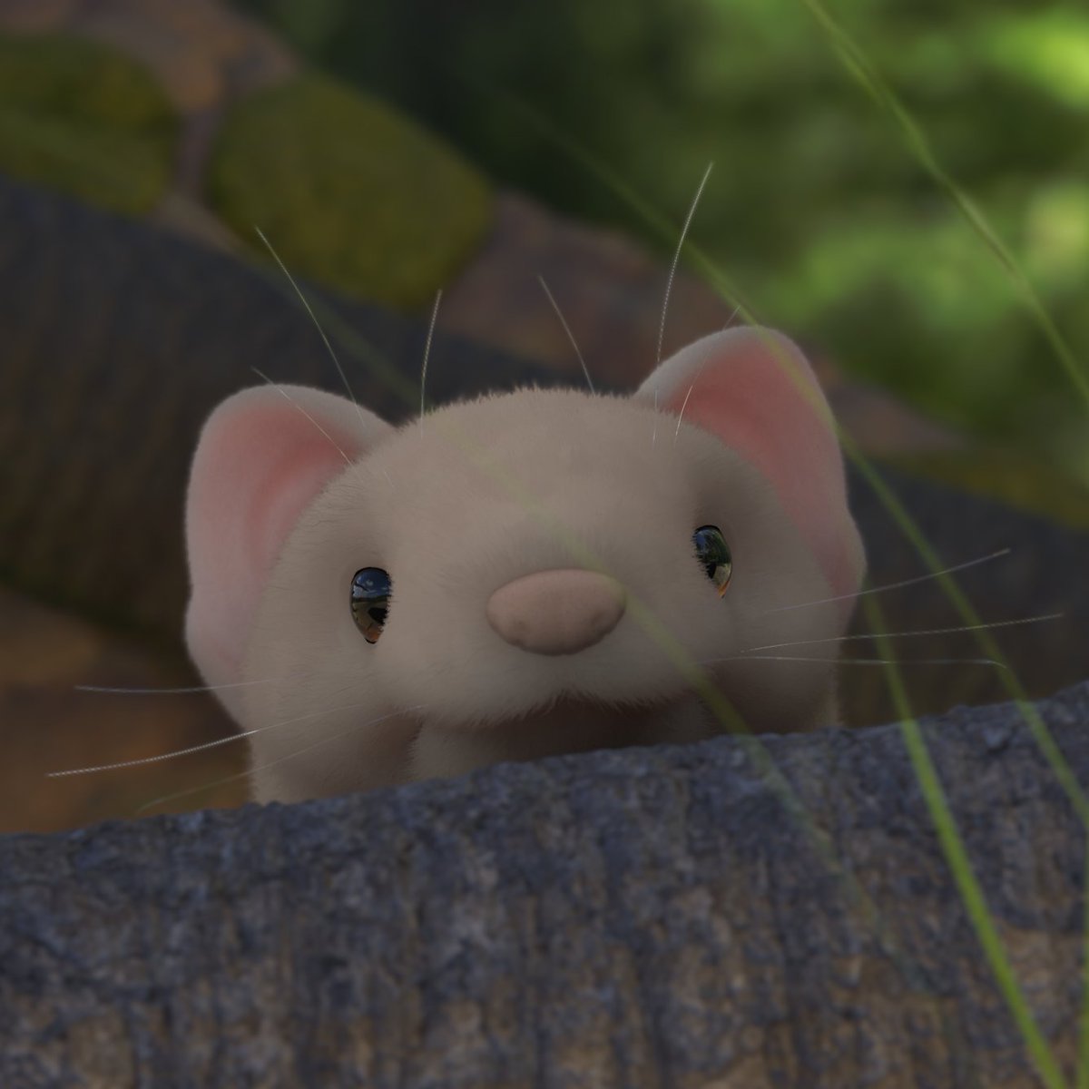 unexpectedtoy's tweet photo. "Stoat" - Just a silly little guy in the woods.  🐾
A weasel character peeking around a log.
Sculpted in Zbrush &amp; rendered in Keyshot.

More daily creations over here on DeviantArt https://t.co/uZkunmIWVX

#zbrush #3dart #digitalart #keyshot #3Dartist #artistsontwitter #3dsculpt https://t.co/vnZgZjyXhH