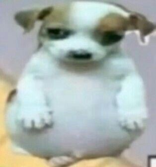 273Clearly's tweet image. Que flojera estudiar