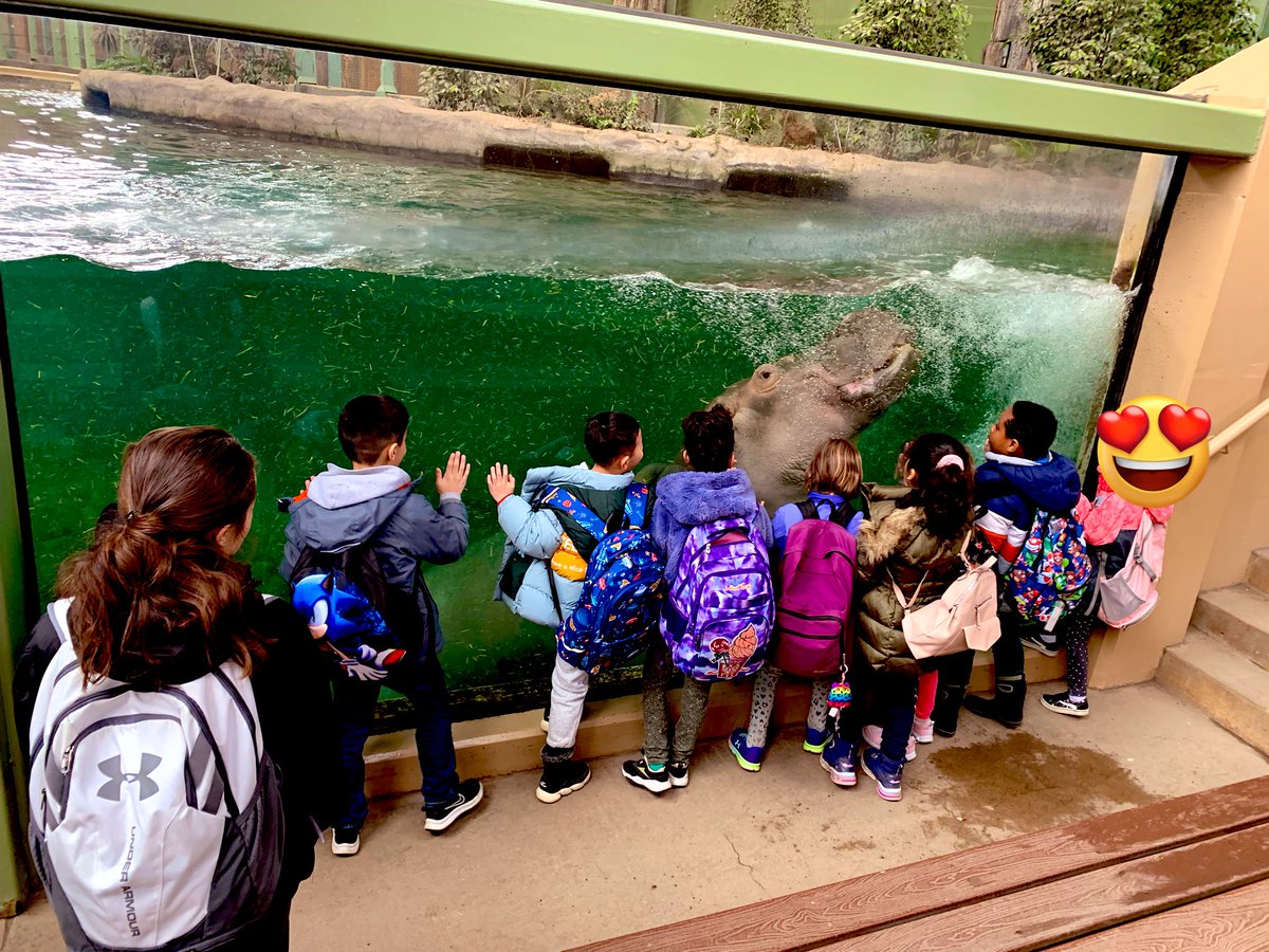 So much to see in one day is so true!!! We had a great day, and we learned some interesting adaptations that Penguins have to help them survive and thrive 🐧 Huge thank you to parent volunteers!! We couldn’t do it without you 👏👏👏