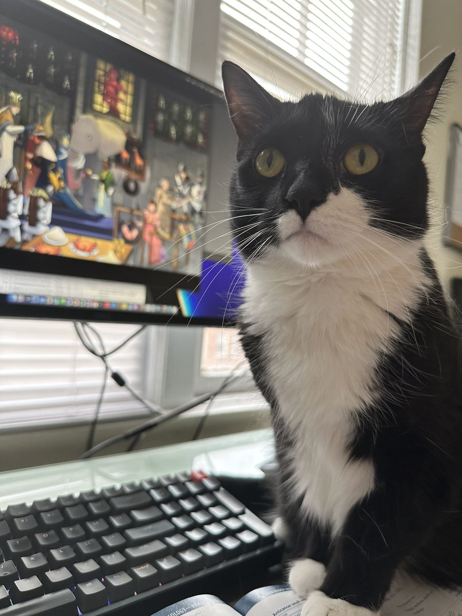alan__cr7's tweet photo. @CleClinicLCM Here is kylo’s other half, Mila! https://t.co/7aiIQjmZp6