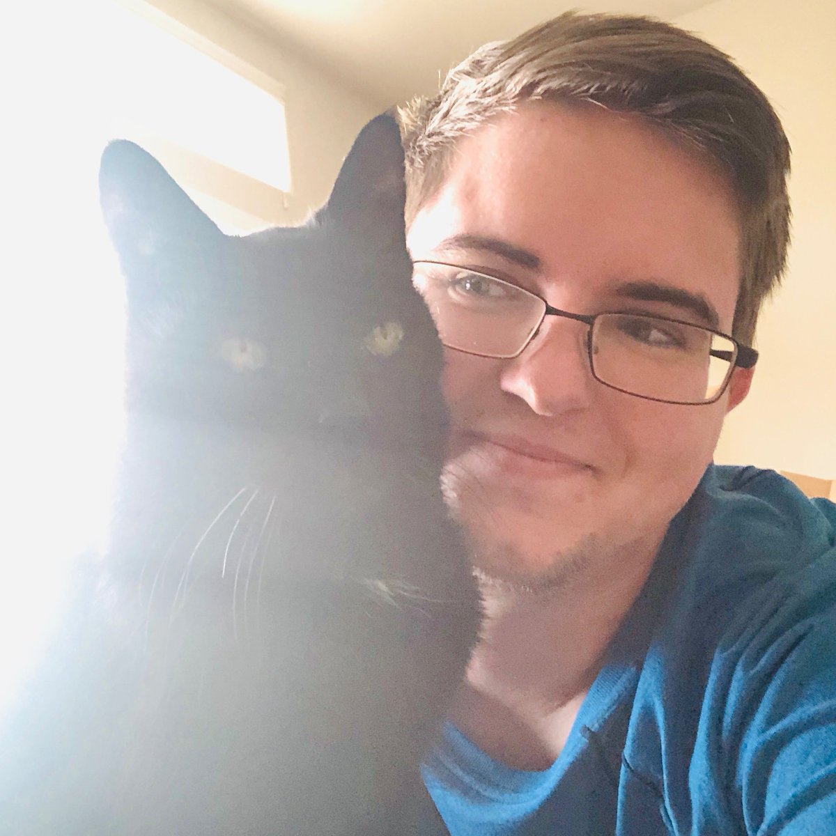 BigGoodThings's tweet photo. #NationalPetDay, you say? 🥰

#CatsofTwittter 
#BlackCatsAreGoodLuck https://t.co/YGNqUHUBjM