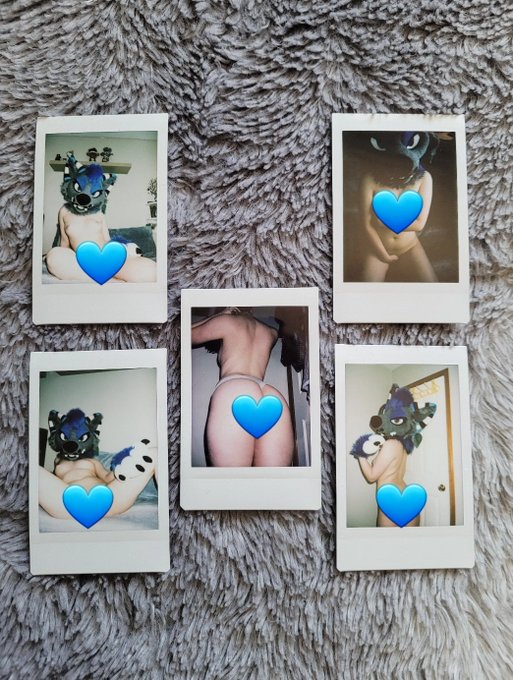 Some customs ready to send out, these are really fun to do 😜 P.S. I'm still taking offers for these 💙 #murrsuiter<a href="/tag/yiff"class="tags"><span>#yiff</span></a><a href="/tag/furrynsfw"class="tags"><span>#furrynsfw</span></a><a href="/tag/nsfwtwt"class="tags"><span>#nsfwtwt</span></a><a href="/tag/murrsuiter"class="tags"><span>#murrsuiter</span></a>