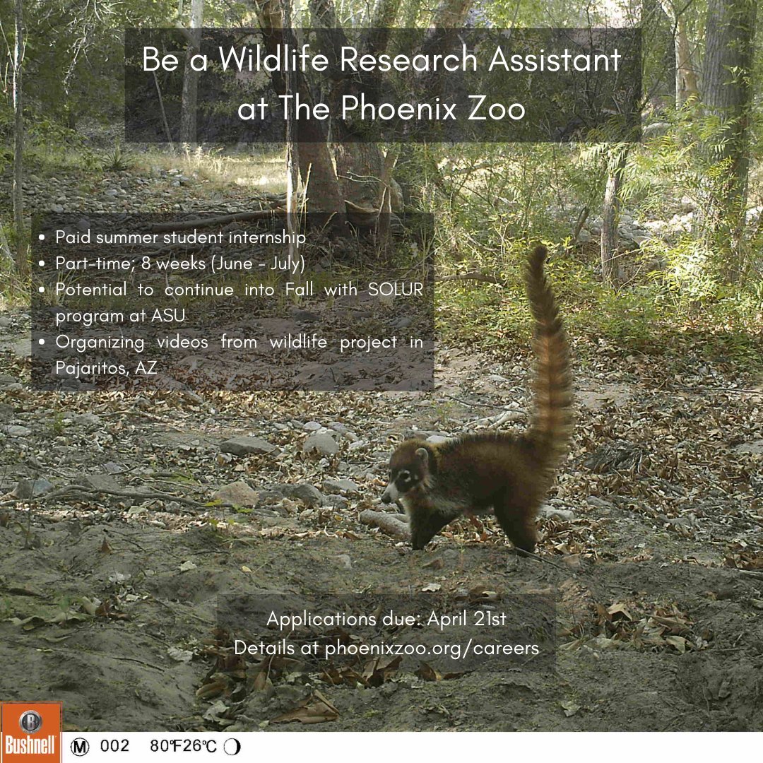 AZ Wildlife Society tweet media