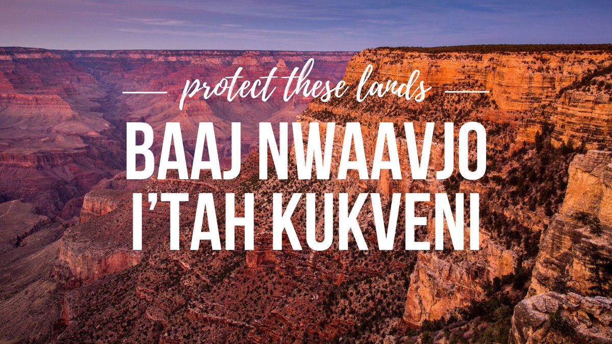 A new Tribally-led proposal would protect the iconic Grand Canyon region from threats like future uranium mining. Wild Arizona joins the Grand Canyon Tribal Coalition in urging <a href="/POTUS/">President Donald J. Trump</a> to act now to designate Baaj Nwaavjo I’tah Kukveni Grand Canyon National Monument! #KeepItGrand