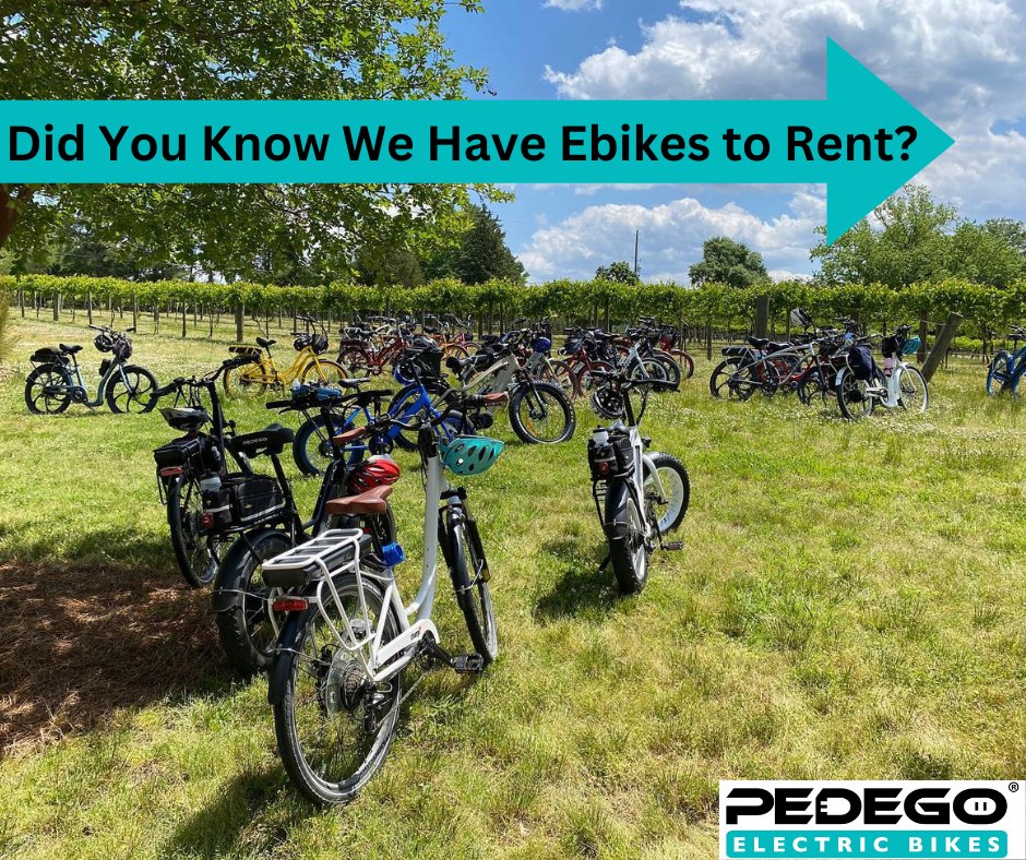 pike812's tweet image. Looking to rent an #ElectricBicycle? We have plenty of ebikes to rent.

Contact us to book your rental today! 

#uwsphx #ebikefun #ebikelife #peoriaaz