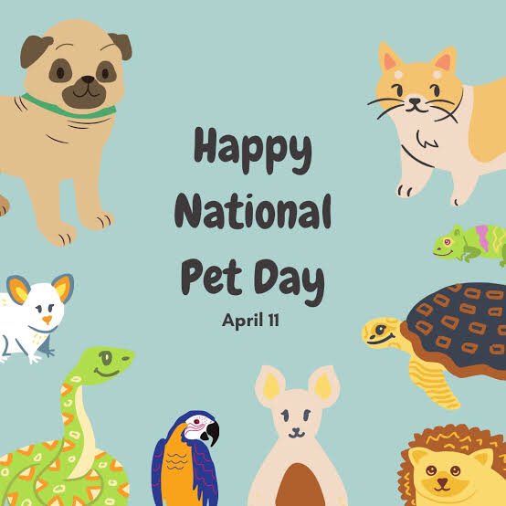 Happy National Pet Day! 

Today we celebrate the love our pets bring. Share your favorite pet memories in the comments below! 🐾❤️ 
-
#nationalpetday #furfamily #petday #petlovers #animals #LoveYourPets