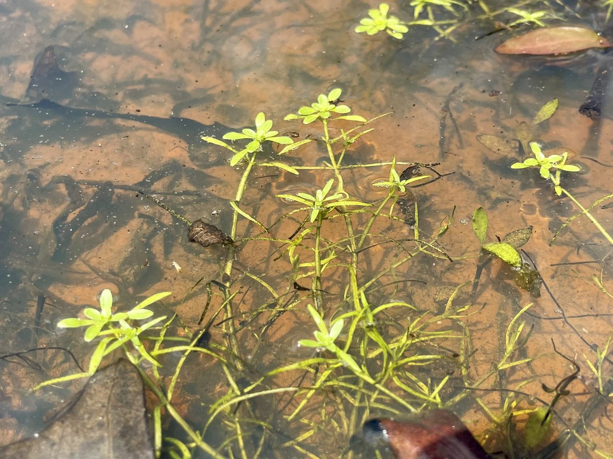 Anyone know this guy!?!?