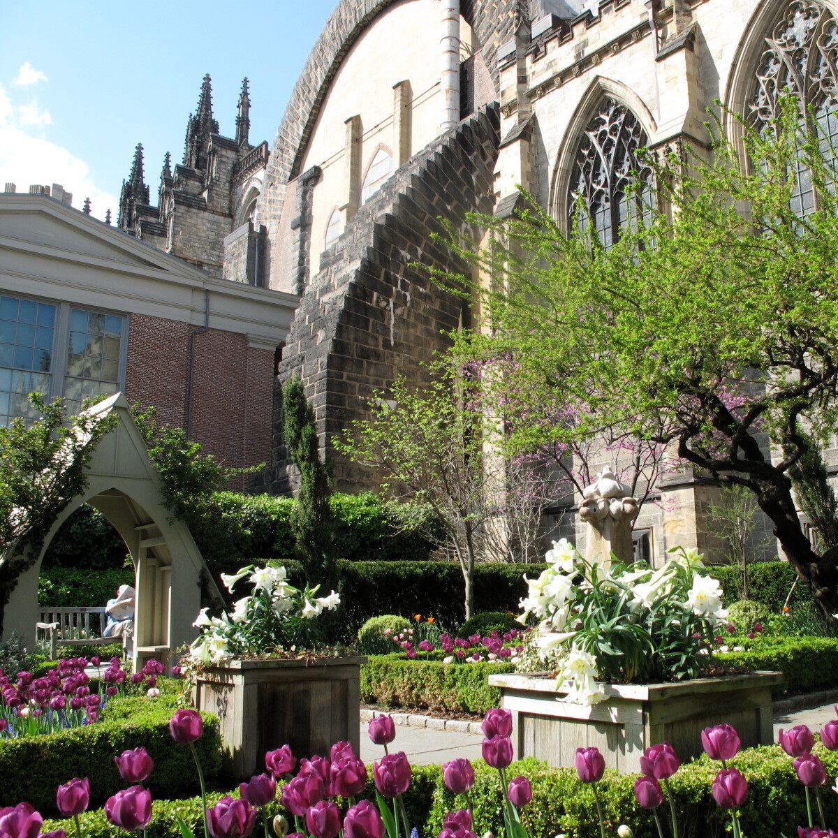 Spring into life at the Cathedral - mailchi.mp/stjohndivine/a…