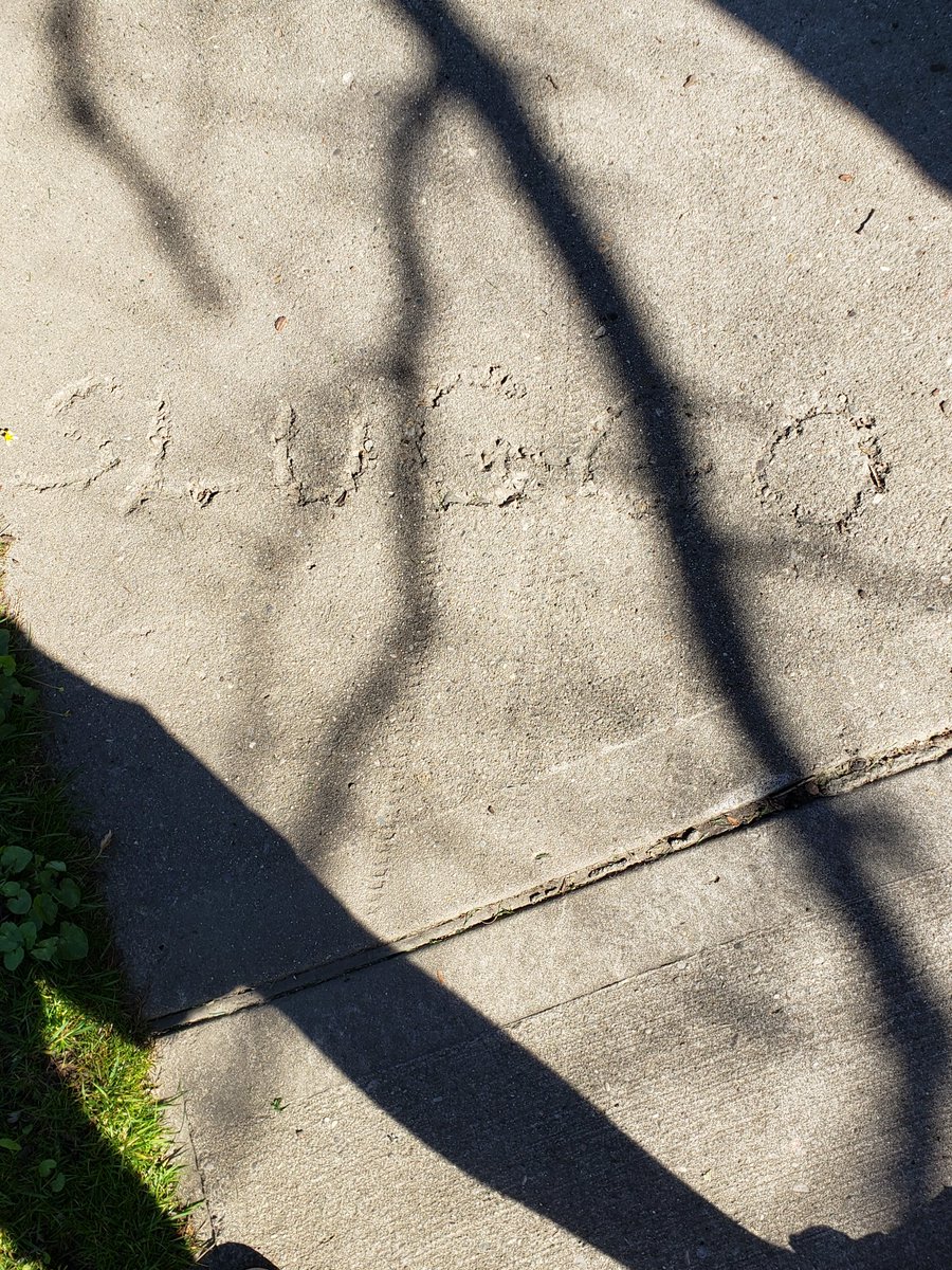 TheDynamicButch's tweet image. Apparently someone in Cincinnati is a big fan, @MikeKeneally