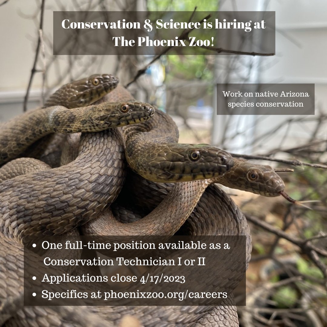 AZ Wildlife Society tweet media