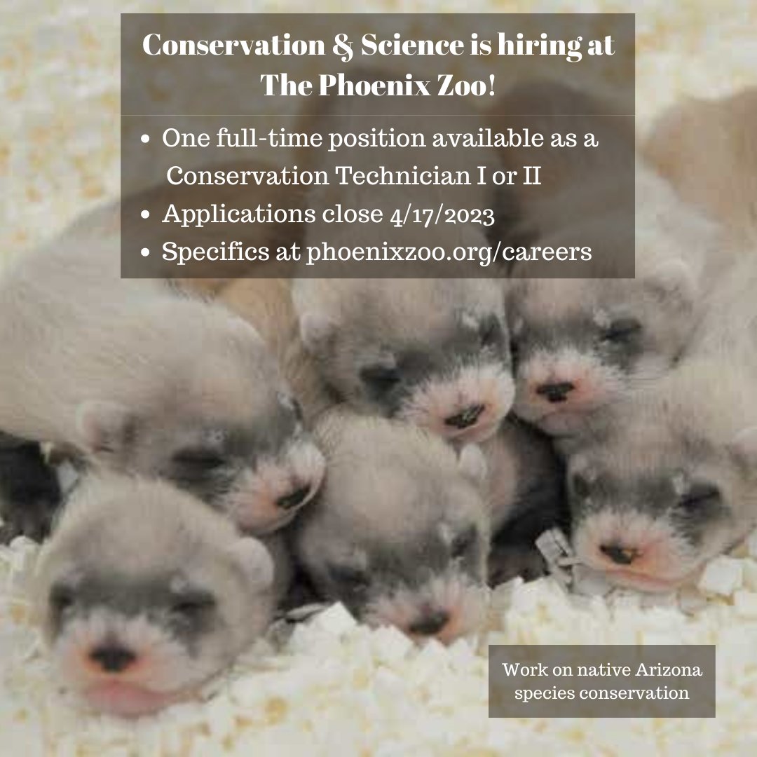 AZ Wildlife Society tweet media