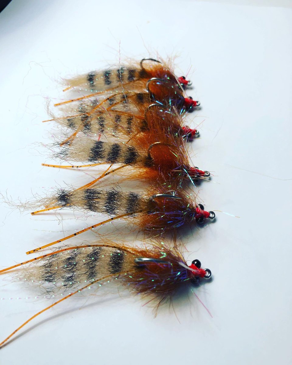 The hidden Secret Redfish Fly they love for decades the original Redfish Shrimp never duplicated