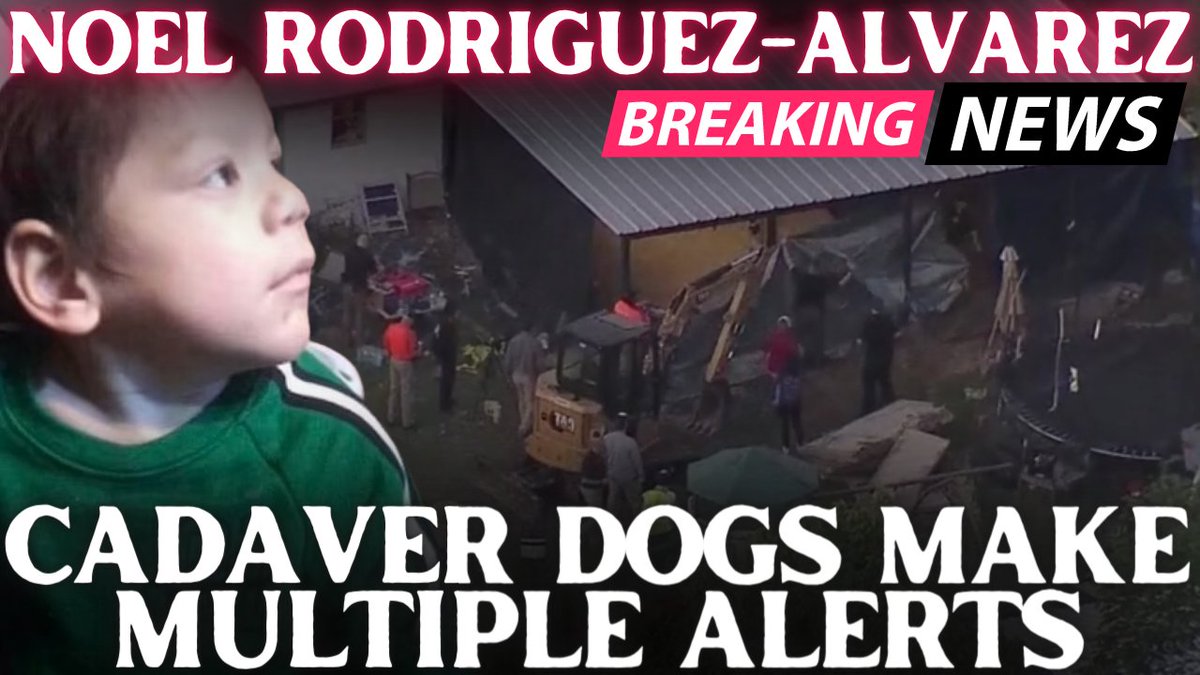Julez_TrueCrime's tweet photo. Multiple Alerts from Cadaver Dogs at Residence of Missing Everman Boy No... https://t.co/kZV6Wr8kWu via @YouTube
#evermantx #noelrodriguezalvarez #missingboy https://t.co/ukcARCy2Fm