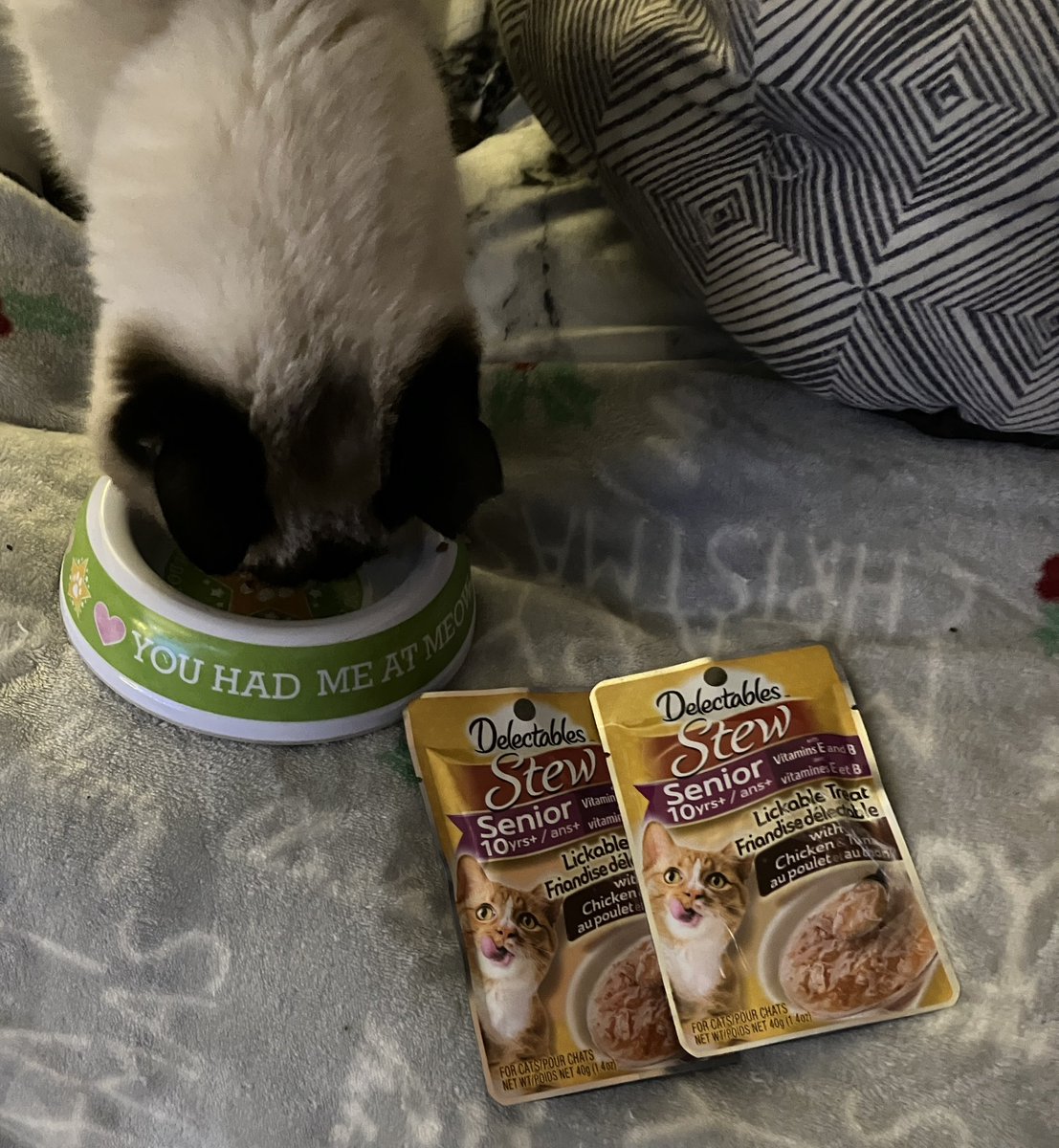 trees4est's tweet photo. @HartzPets @JoinPeekage @all So my Siamese just finished one of his fav snacks! The Delectables pouches he find delightmeow! His words🤷‍♀️Not meowin! Thank you Hartz &amp; Peekage! ❤️💯🟰���🐈‍⬛☮️❣️🌈🎯❤️ https://t.co/9h3fj2AZUr