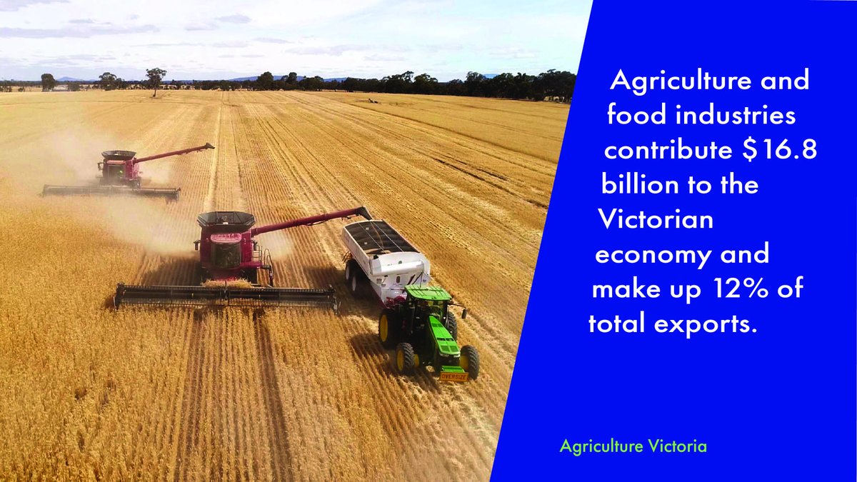 The #agricultureindustry in #Victoria contributes to the state's #economy, providing employment and benefiting the production of goods. 

With a diverse range of over 200 agricultural commodities produced in the state, we play a significant role in driving economic growth.
