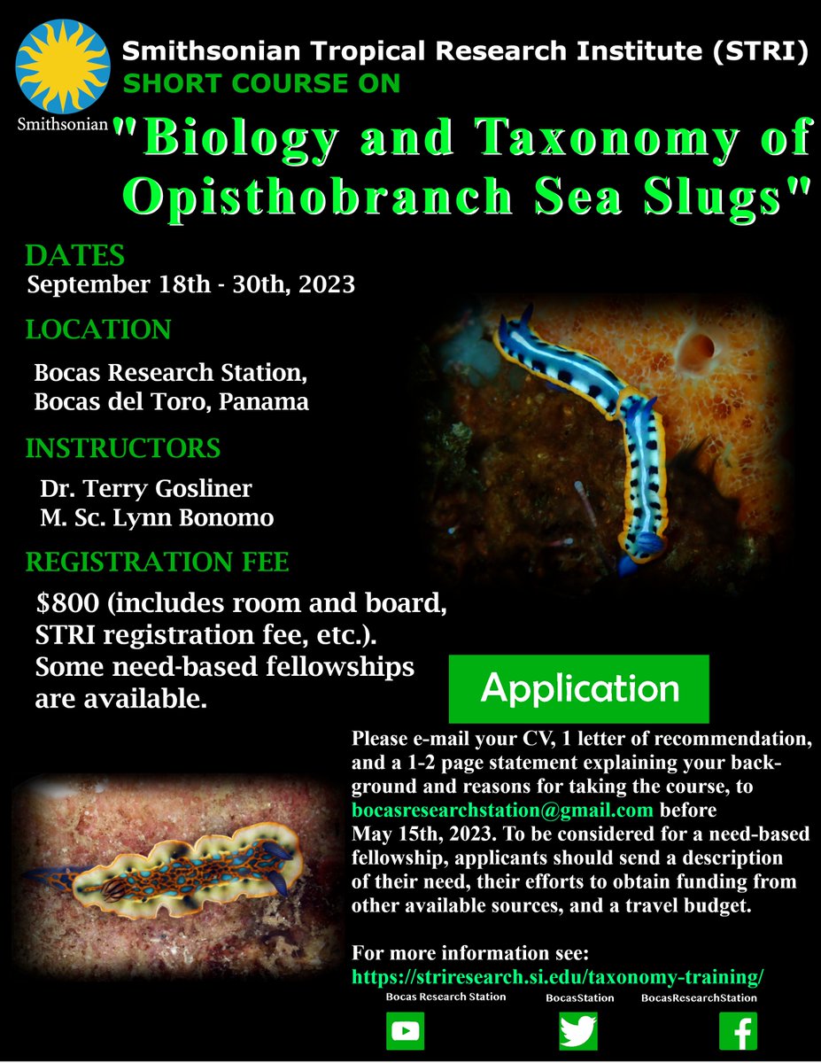 New course announcement!🌊
We are pleased to announce an upcoming new course at the Bocas Station from September 18th - 30th. Join us and learn about Biology and Taxonomy of Opisthobranch!🌊🌴