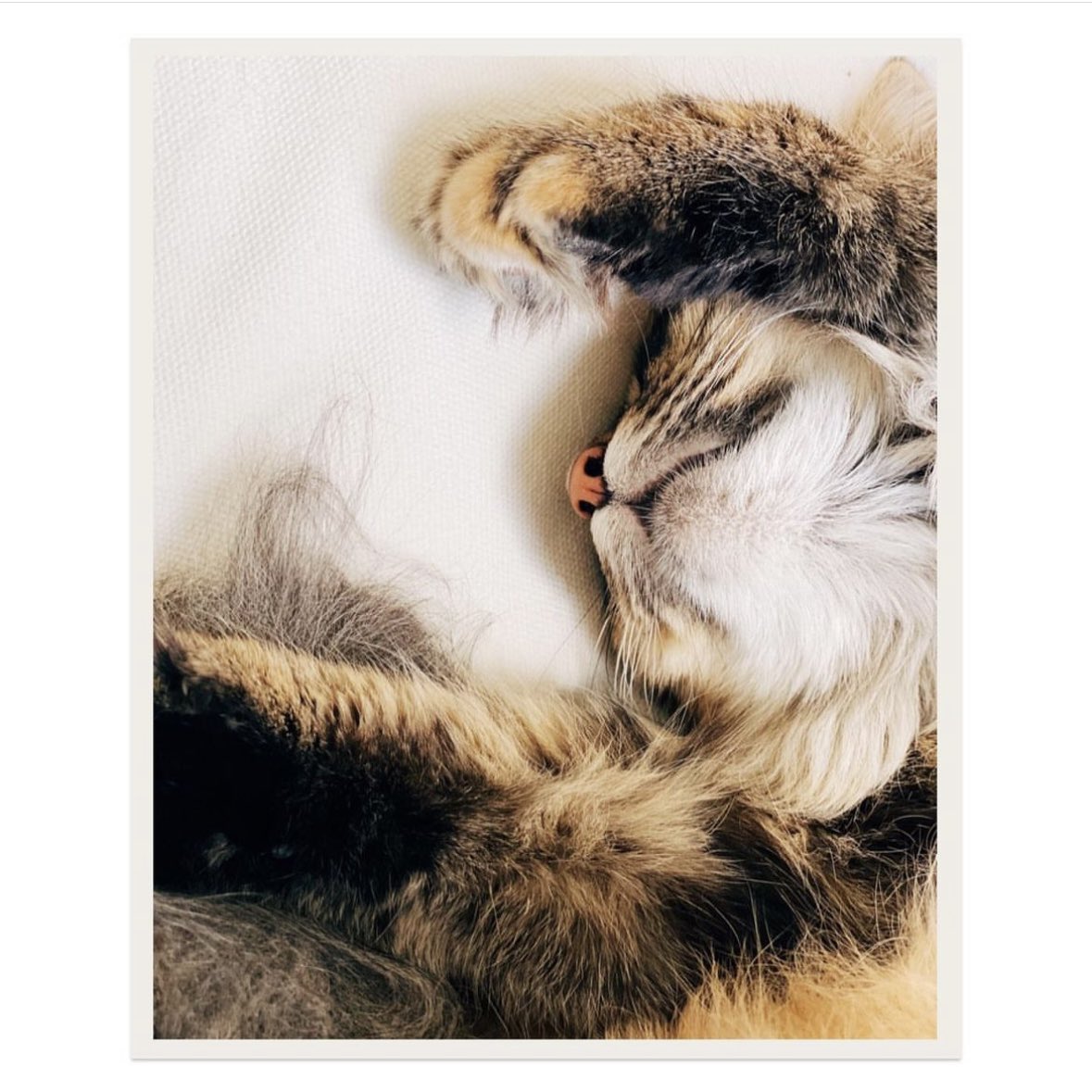 Adrienne Pitts tweet media