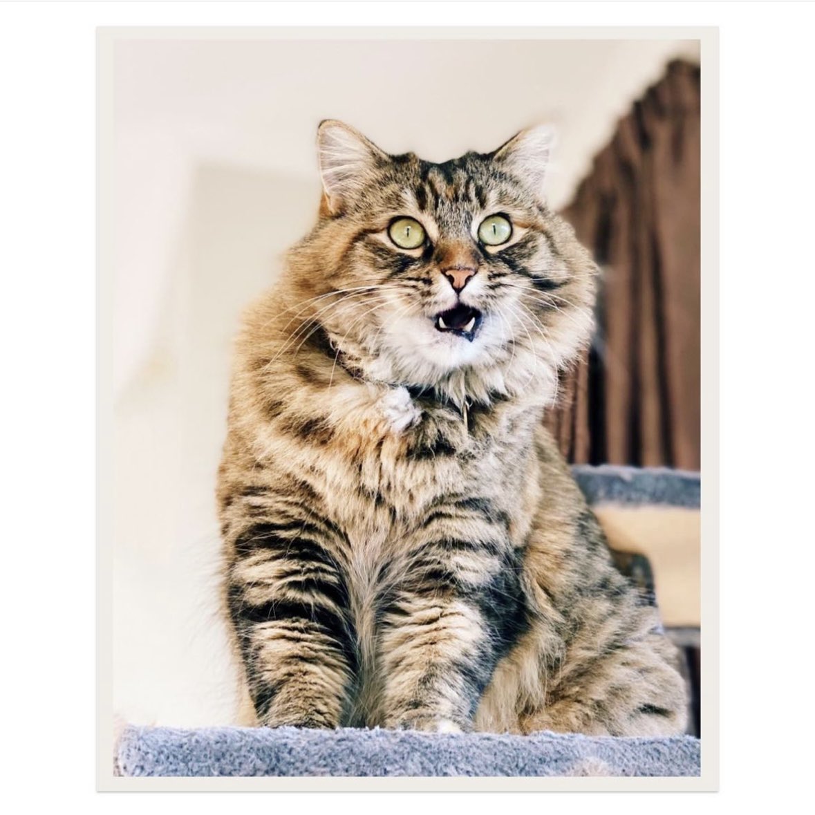 Adrienne Pitts tweet media