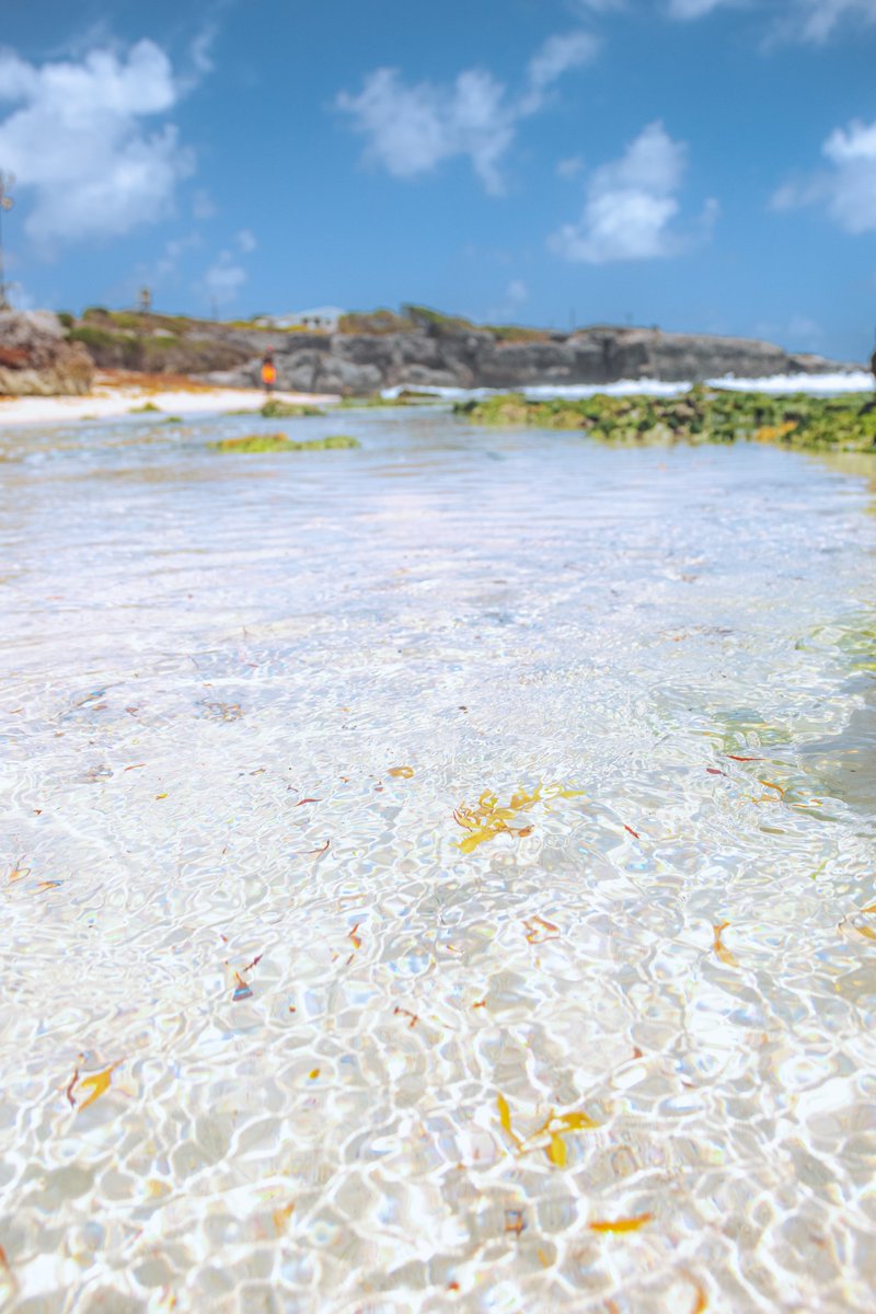 #Barbados #Bajan #streetphotographer <a href="/NationBarbados/">NationBarbados</a>