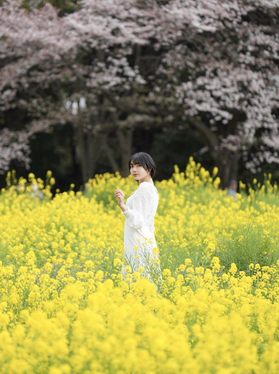 TOSHIPHOTO3's tweet photo. ⠀
菜の花
⠀
蓮見みなさん @mina_hasumi 

#コットン撮影会
#ファインダー越しの私の世界
#ポートレート好きな人と繋がりたい
#ポートレート
#撮影会モデル 
#portrait #portraitphotography 
#portraitmodel
#batis135 https://t.co/wSzT2bHCK2