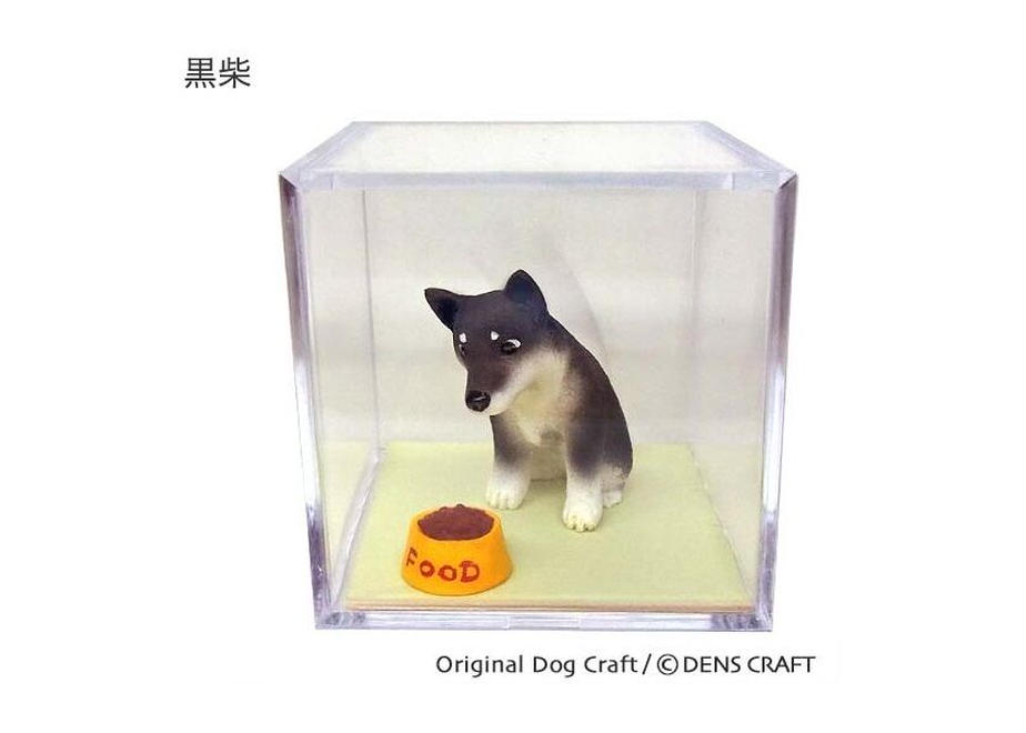 aya_19910328's tweet photo. #柴犬
#DENSCRAFT
Dog@CUBEシリーズ 今回は人気の柴犬のご紹介
茶色と黒の2種類😃
ロングセラー商品となってます🤗
🐶この後も人気犬種を続々追加予定🐶
🌺フィギュア作家・伝さんの作品になります🌺
💖商品はすべてハンドメイド品です💖
#フォロバ https://t.co/Nd2q0NkMCP