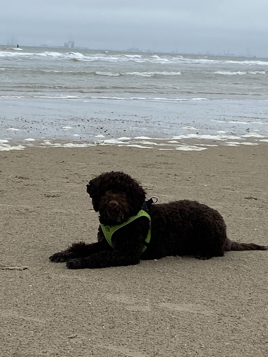 Ich bin der Bø und 9 Monate alt. Heute mache ich mein Seepferdchen.