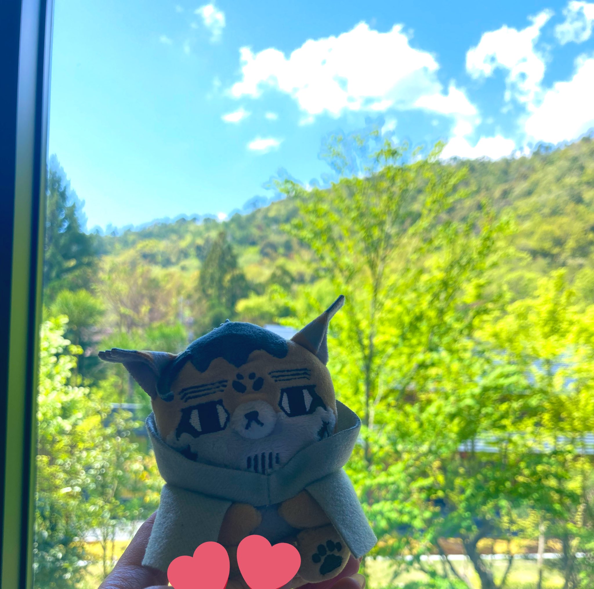 公式オンライン通販 - さくふぁむ。様専用ページ - 激安公式