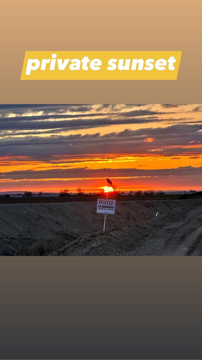 seanolson82's tweet photo. #private #sunset guarded by a #bird on a posted #notrespassing #sign https://t.co/KLBqjwubu5