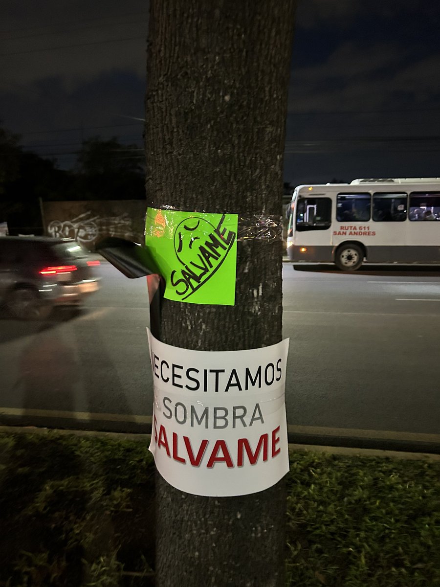 VecinosOriente's tweet photo. La construcción de un monorriel no debe ser una excusa para eliminar árboles. Debemos trabajar en soluciones que no impliquen la destrucción del medio ambiente. https://t.co/Qppmga4SVv