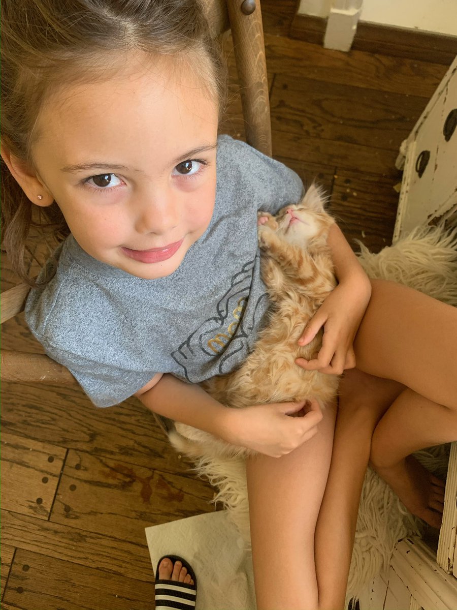 RonaldoFierroCA's tweet photo. Today, let's celebrate the unconditional love and companionship that our pets bring into our lives every single day. 🐾 #NationalPetDay

And yes all my cats are named after US Presidents 😆 https://t.co/fWnkPU35Y0