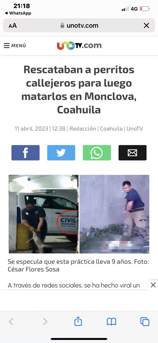 Yael_LaRuiz's tweet photo. ⚠️⚠️⚠️⚠️⚠️GOBIERNO DE #Coahuila #monclova está borrando los comentarios, videos y fotos ¡HAY QUE DARLES CON TODO! @Doc_MarioDavila y @mrikelme ¡cómplices de maltrato animal! ⚠️⚠️⚠️⚠️⚠️⚠️ https://t.co/wX4zgDLCul