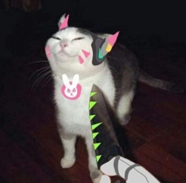 Genji: Te dije que no quería jugar videojuegos.”

JAJAJAJ hoy toca Overwatchos, acompáñame en Twitch como HanniiUvU