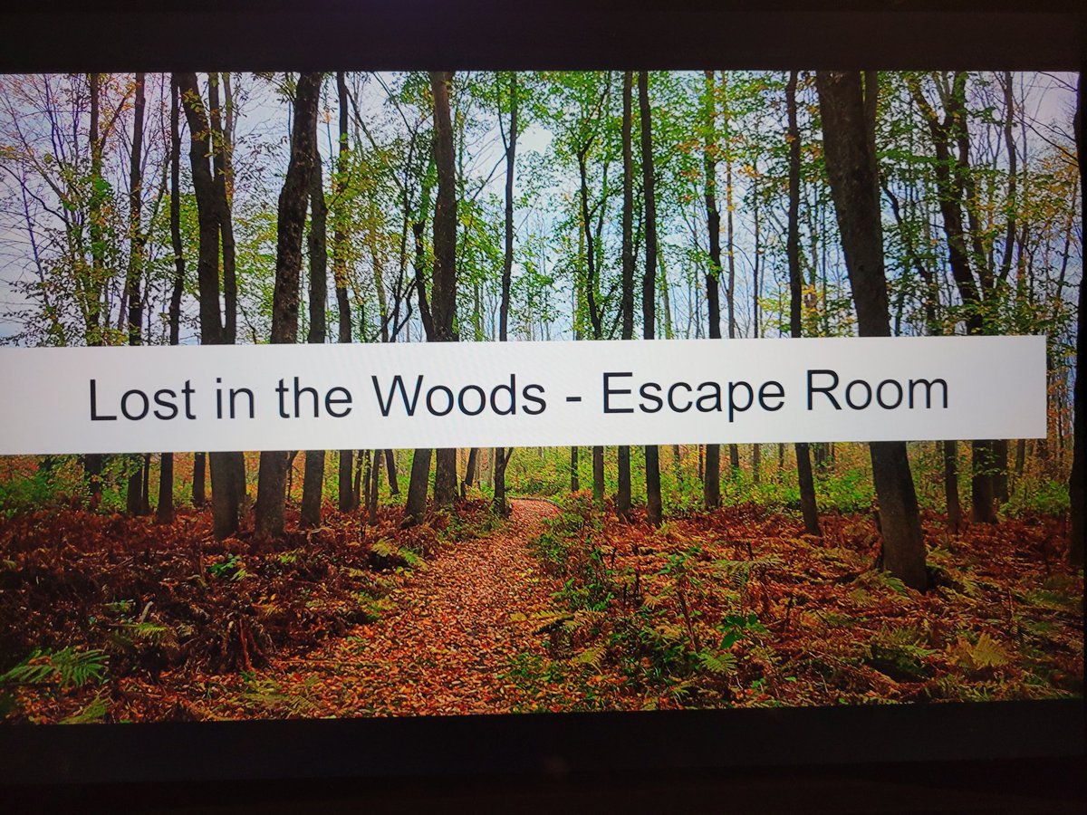 Kelsie R. tweet media