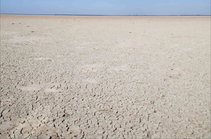 Isabel Díaz Ayuso, Presidenta cuqui fake ⚪ tweet media